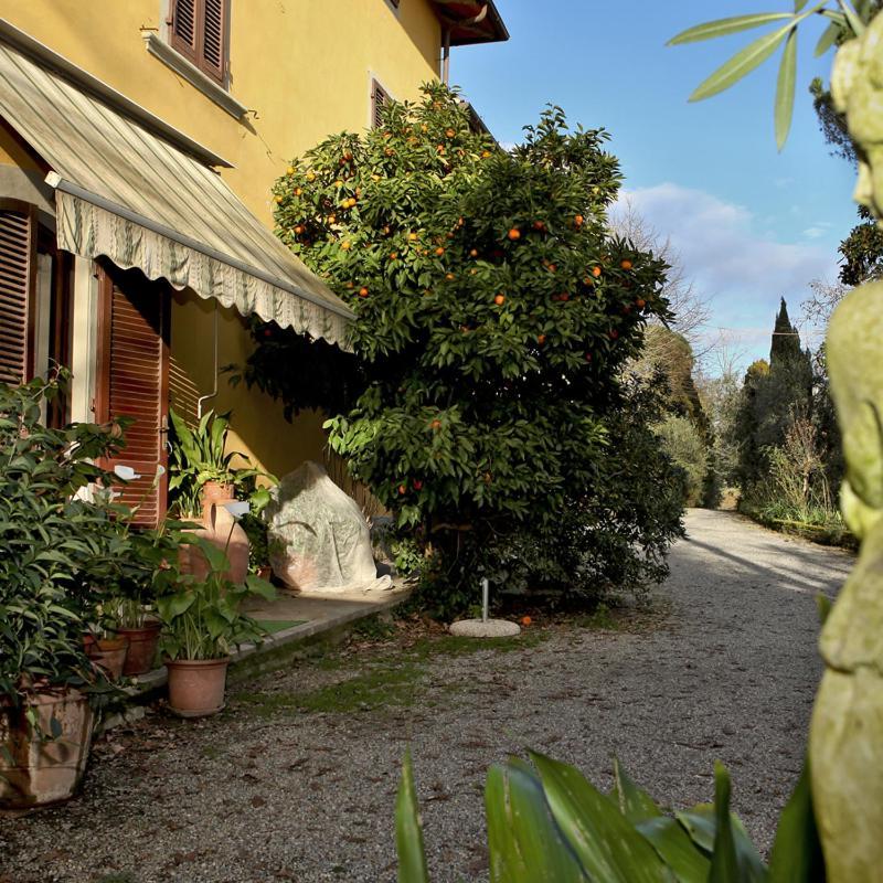 Torre Agriturismo Il Poggetto מראה חיצוני תמונה