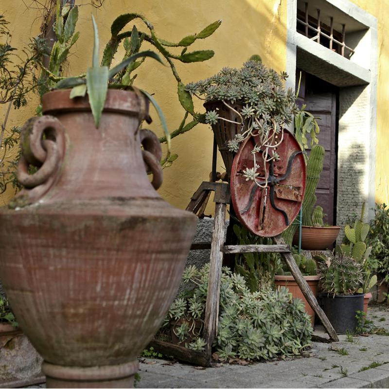 Torre Agriturismo Il Poggetto מראה חיצוני תמונה